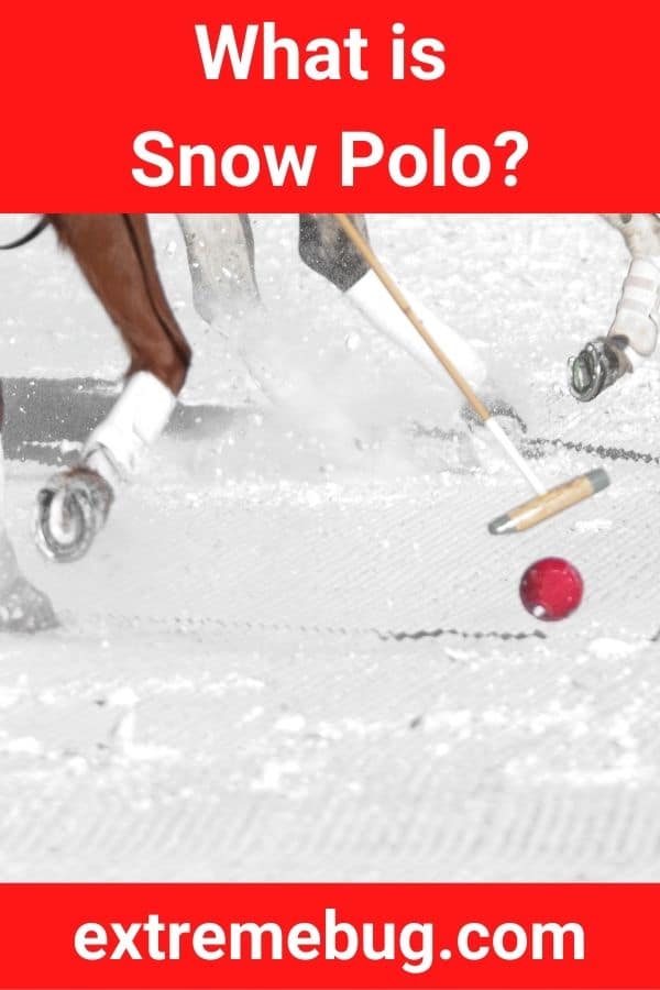 What is Snow Polo?