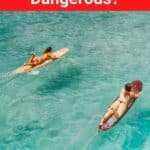 Is Surfing Dangerous?