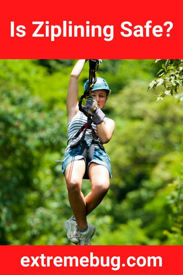 Is Ziplining Safe Revealed Extreme Bug